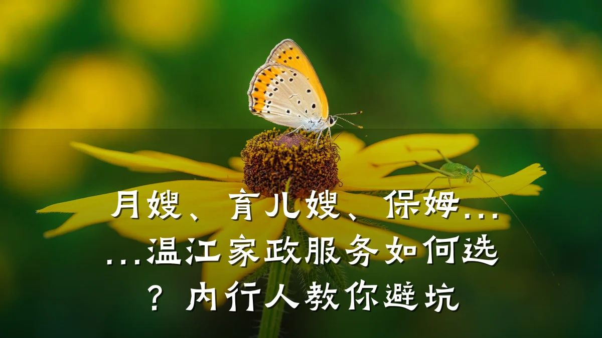 月嫂、育儿嫂、保姆……温江家政服务如何选？内行人教你避坑