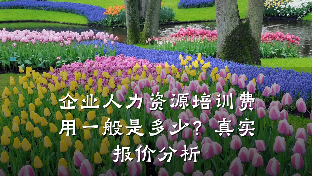 企业人力资源培训费用一般是多少?真实报价分析