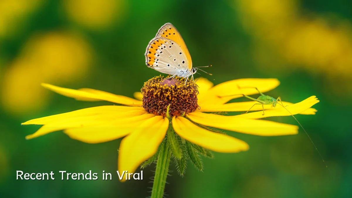 Recent Trends in Viral