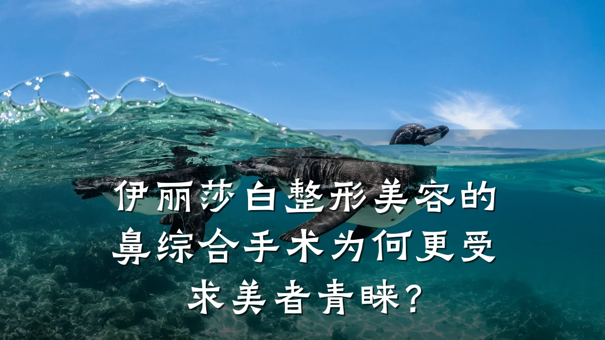 伊丽莎白整形美容的鼻综合手术为何更受求美者青睐？