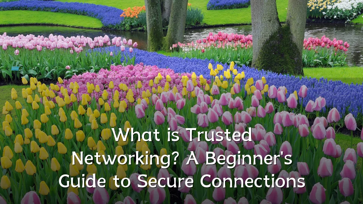 What is Trusted Networking? A Beginner's Guide to Secure Connections