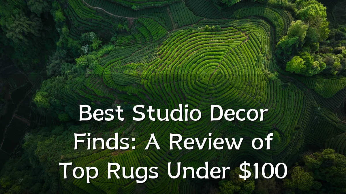 Best Studio Decor Finds: A Review of Top Rugs Under $100