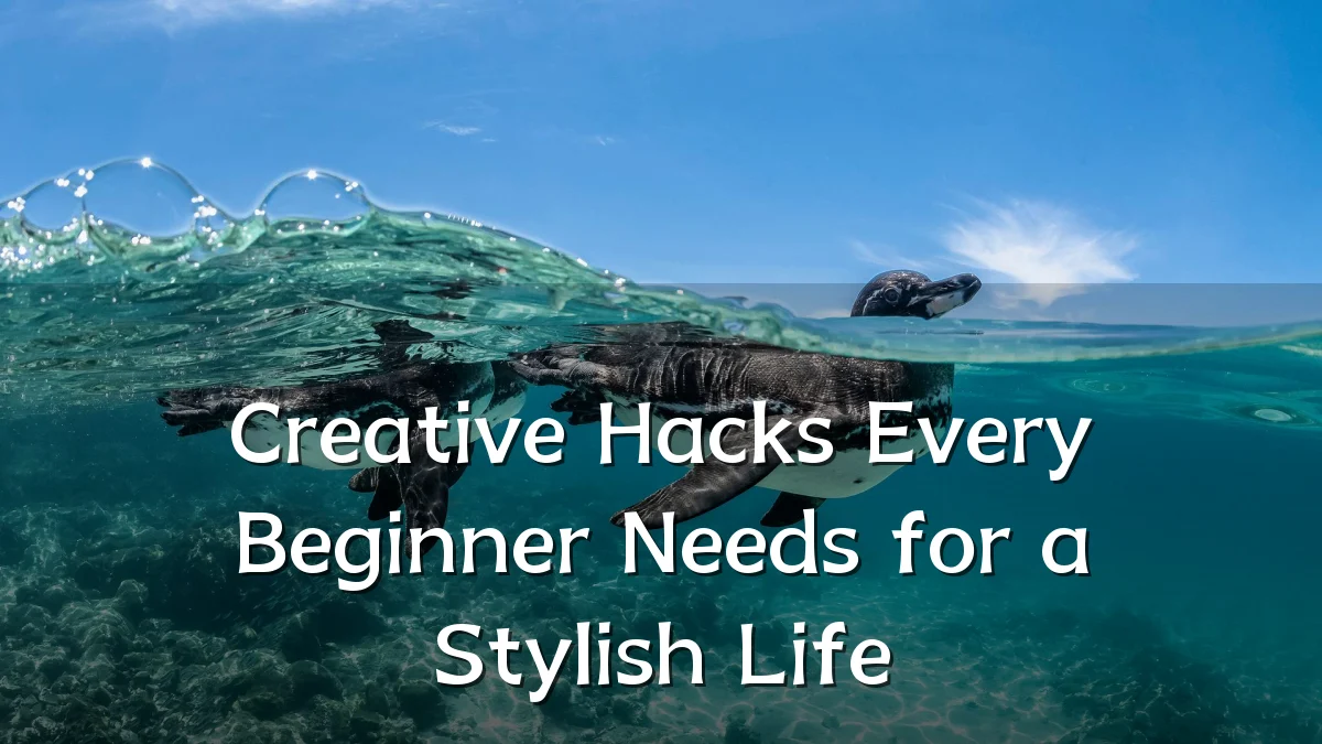 Creative Hacks Every Beginner Needs for a Stylish Life