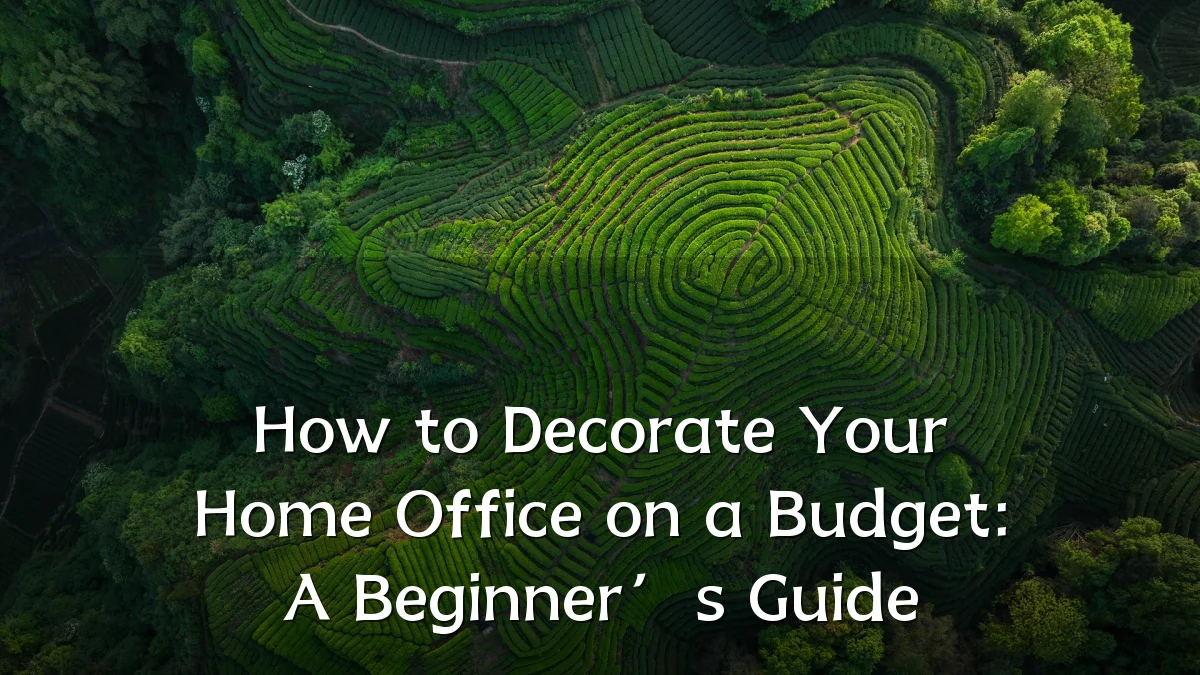 How to Decorate Your Home Office on a Budget: A Beginner’s Guide