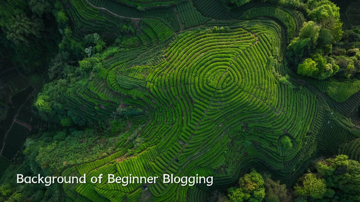Background of Beginner Blogging
