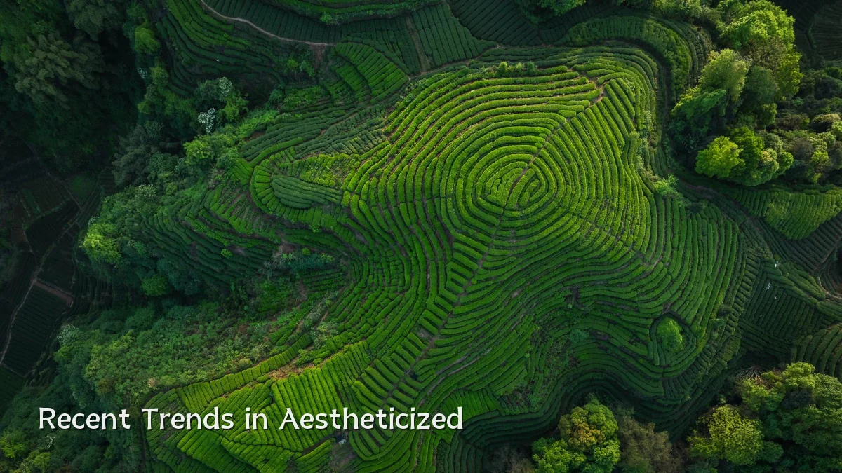 Recent Trends in Aestheticized