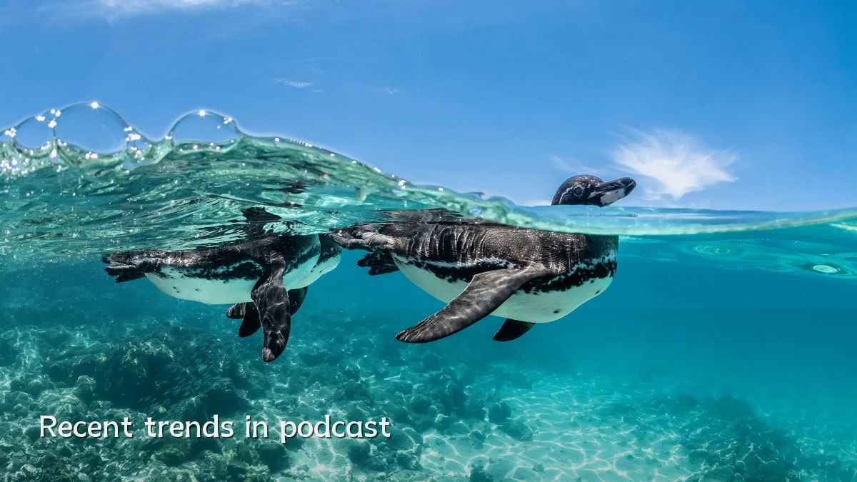 Recent trends in podcast