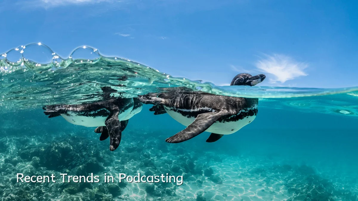 Recent Trends in Podcasting