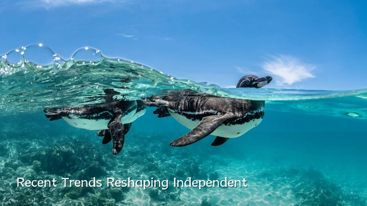 Recent Trends Reshaping Independent