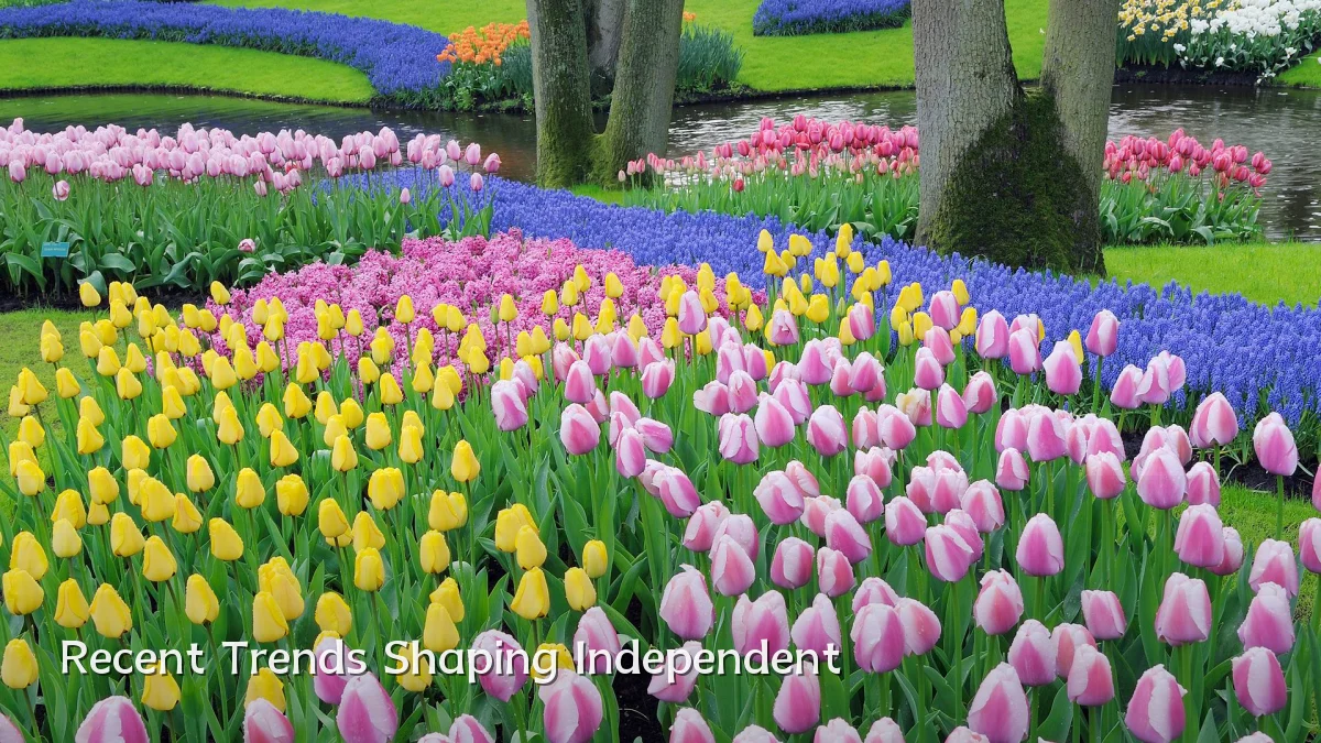 Recent Trends Shaping Independent