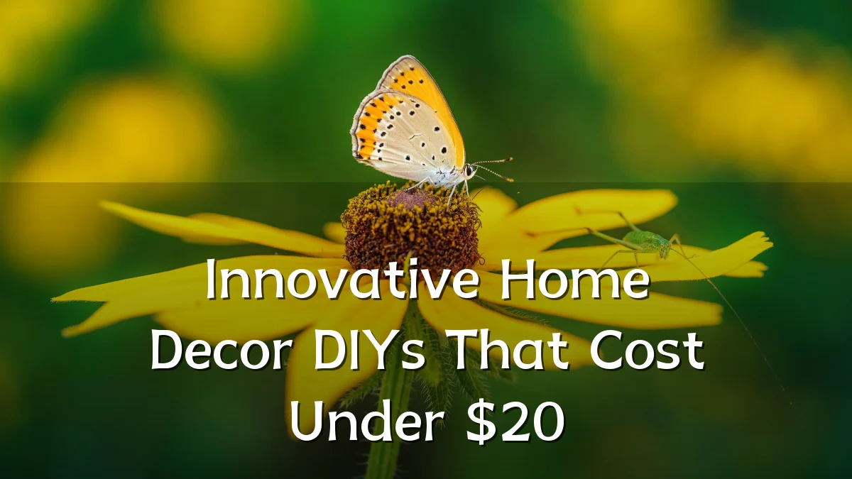 Innovative Home Decor DIYs That Cost Under $20