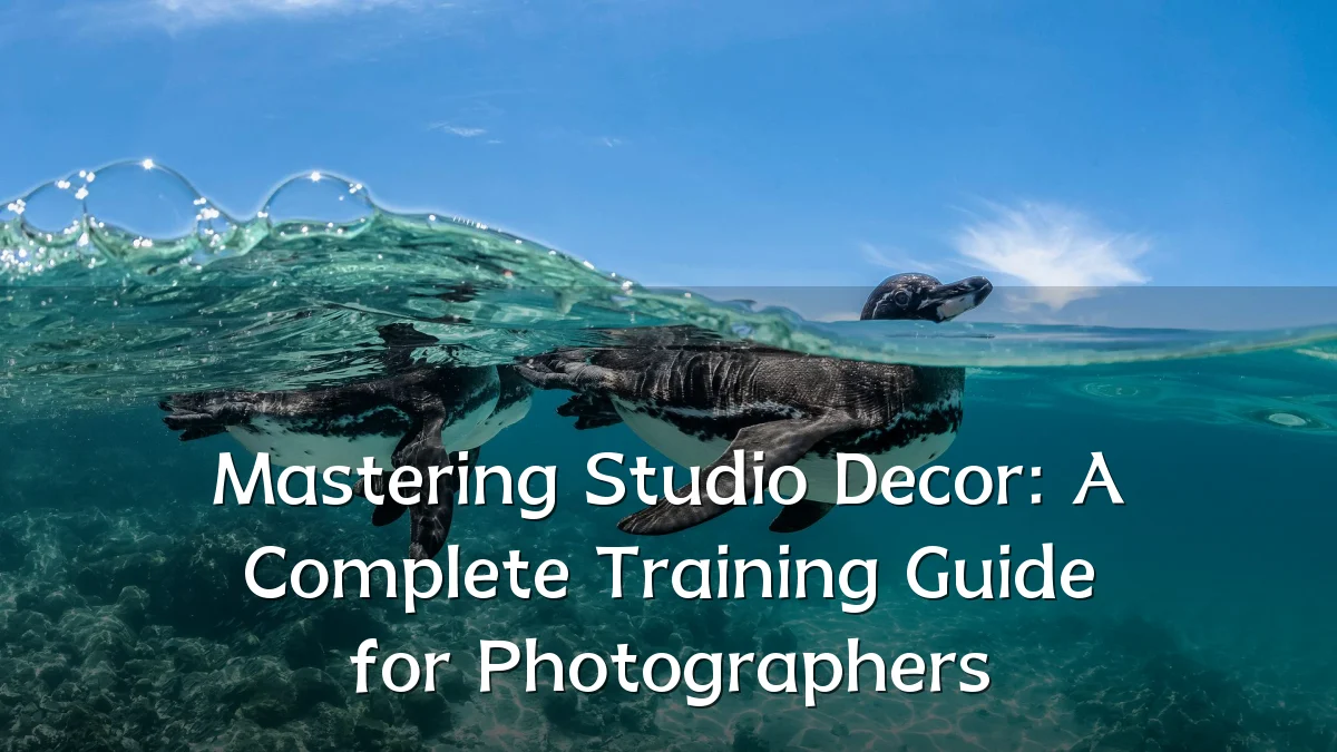 Mastering Studio Decor: A Complete Training Guide for Photographers
