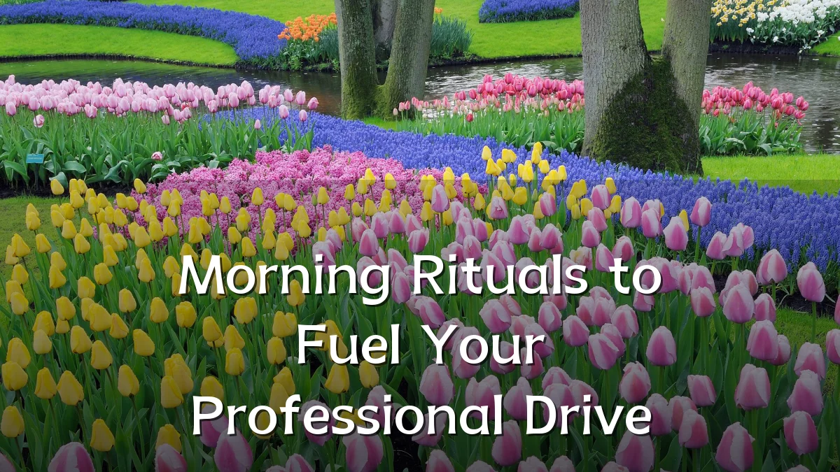 Morning Rituals to Fuel Your Professional Drive