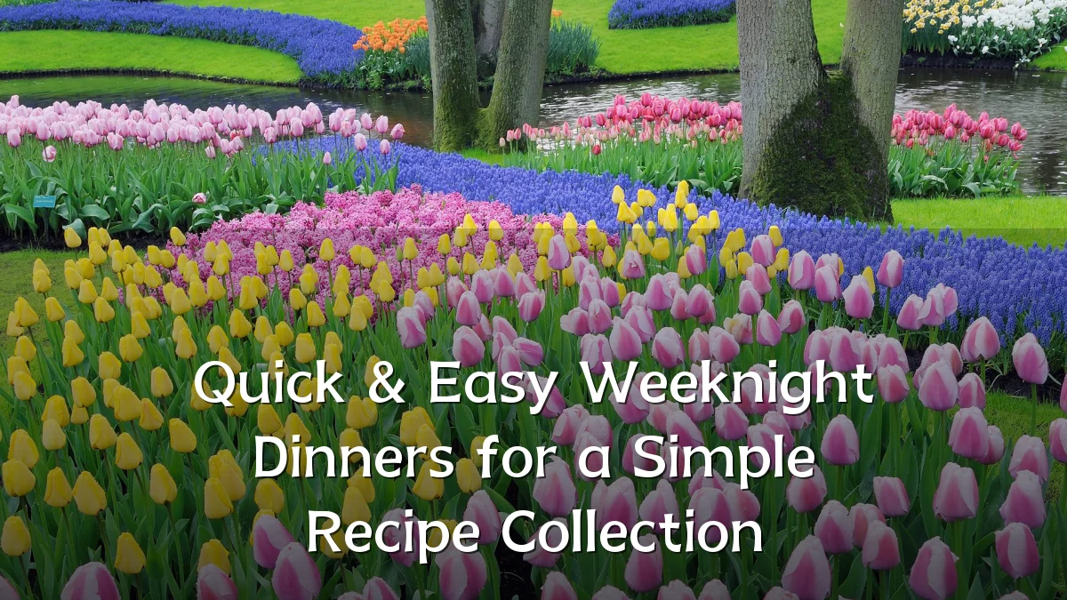 Quick & Easy Weeknight Dinners for a Simple Recipe Collection