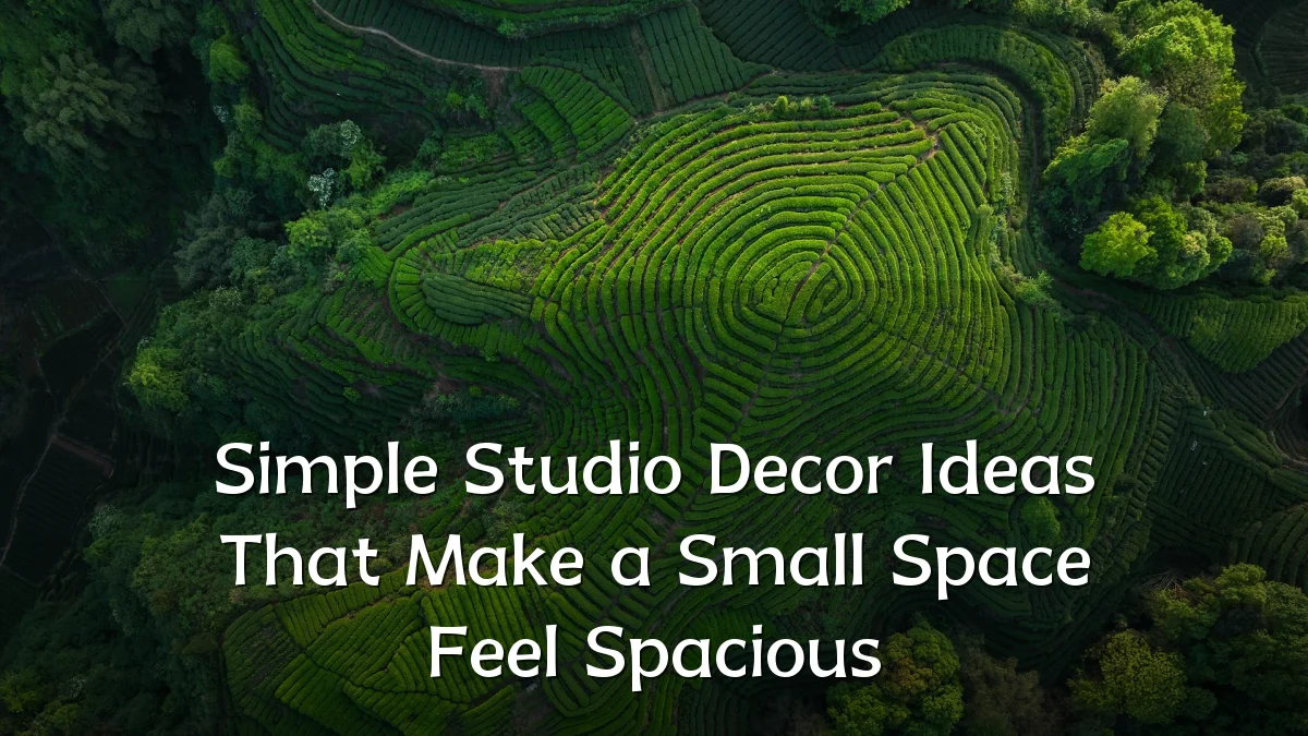 Simple Studio Decor Ideas That Make a Small Space Feel Spacious