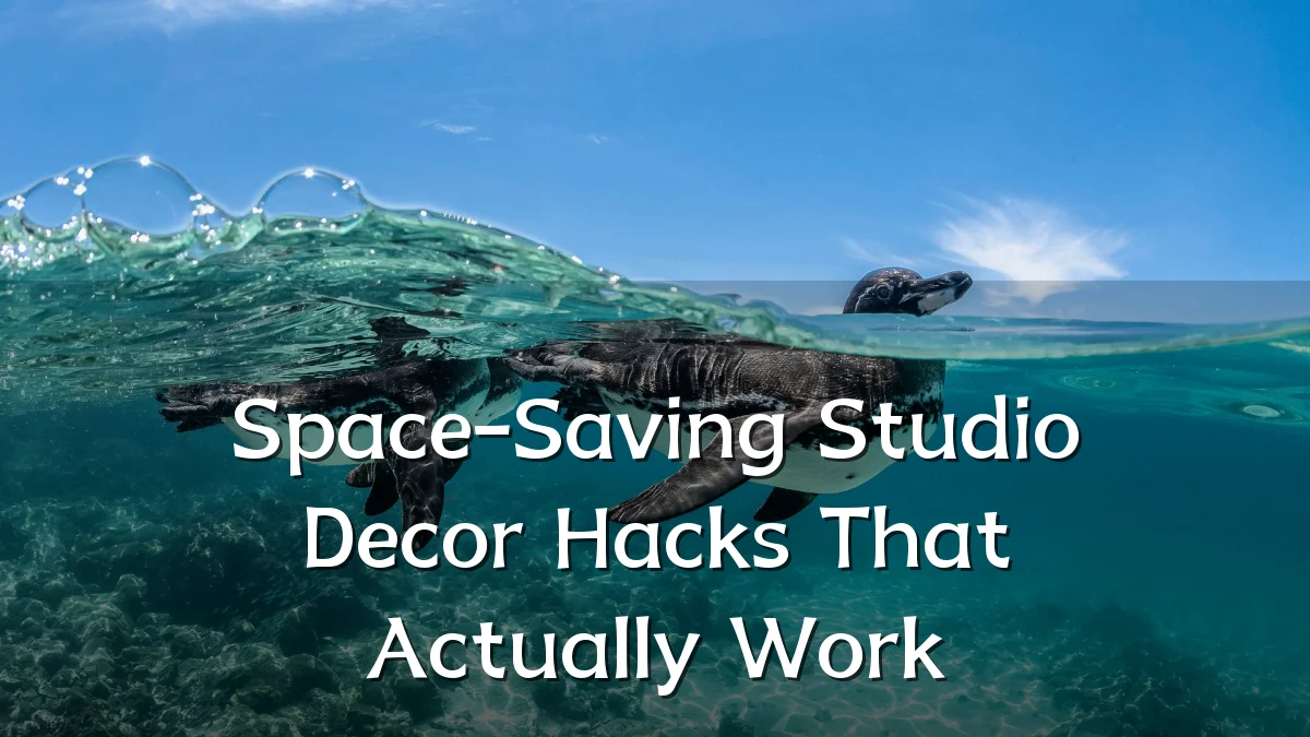 Space-Saving Studio Decor Hacks That Actually Work