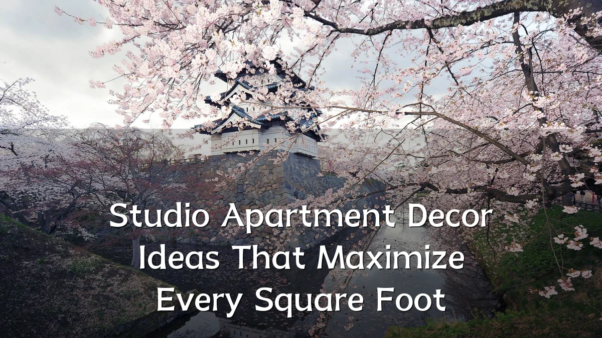 Studio Apartment Decor Ideas That Maximize Every Square Foot