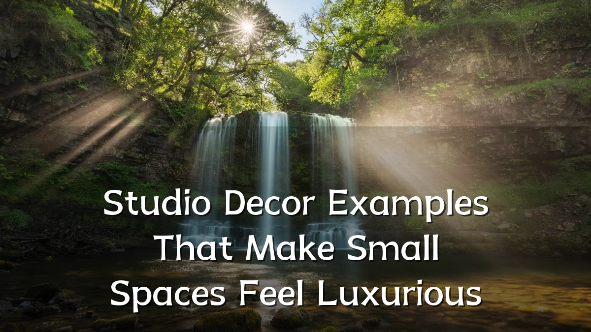 Studio Decor Examples That Make Small Spaces Feel Luxurious