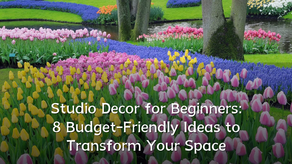 Studio Decor for Beginners: 8 Budget-Friendly Ideas to Transform Your Space