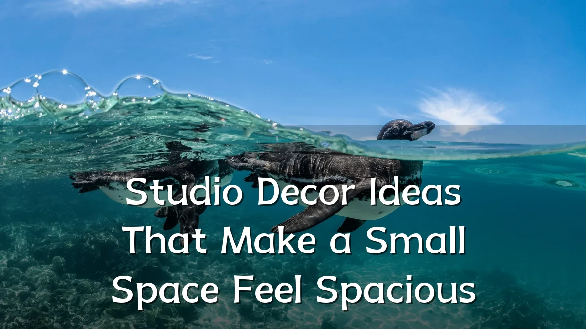 Studio Decor Ideas That Make a Small Space Feel Spacious