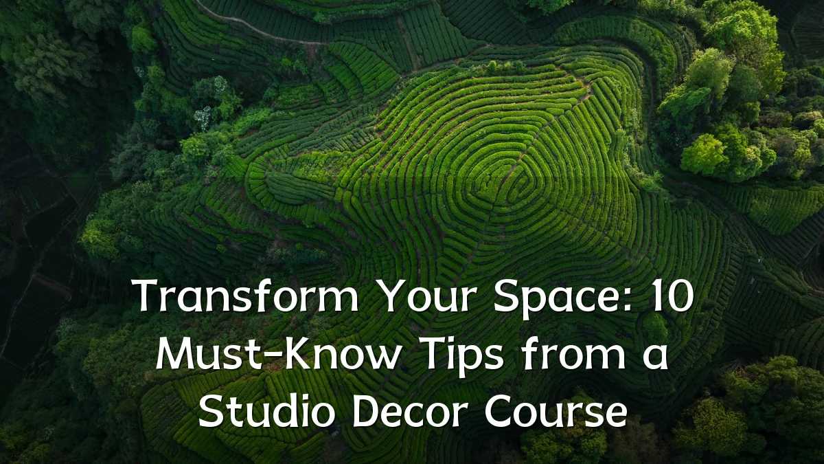 Transform Your Space: 10 Must-Know Tips from a Studio Decor Course