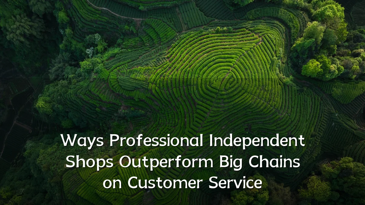 Ways Professional Independent Shops Outperform Big Chains on Customer Service