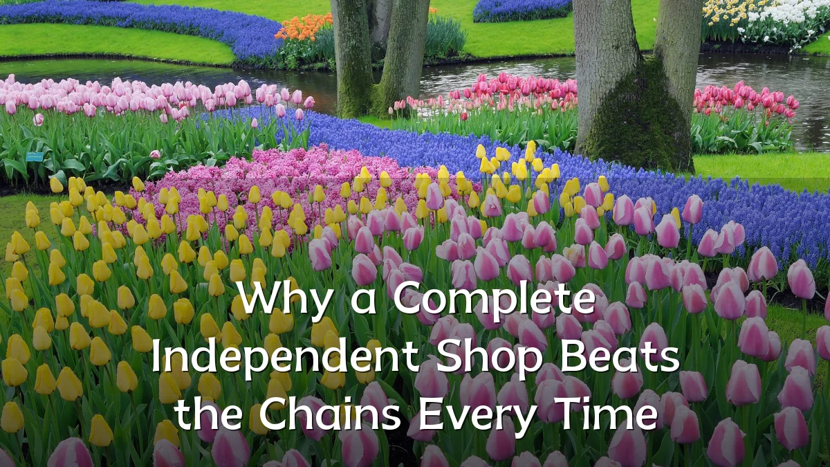 Why a Complete Independent Shop Beats the Chains Every Time