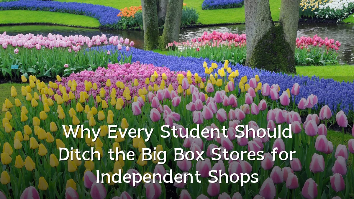 Why Every Student Should Ditch the Big Box Stores for Independent Shops