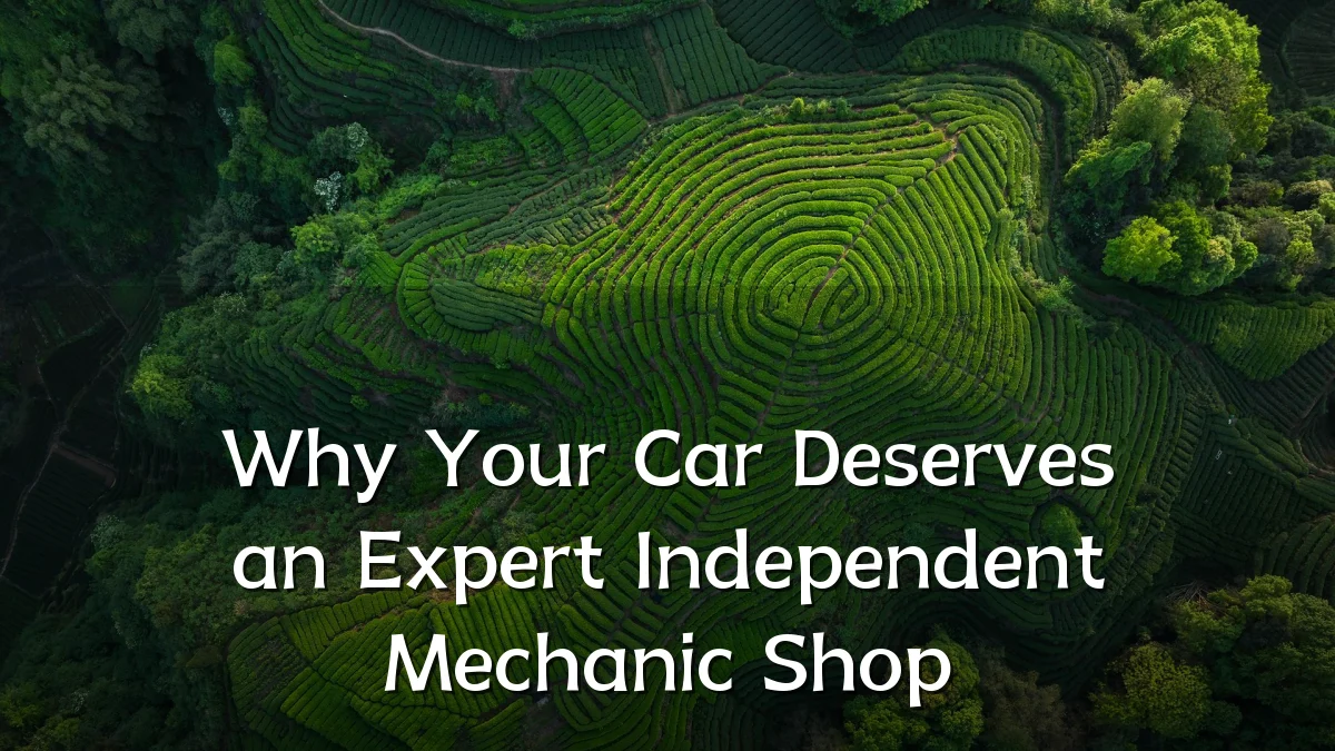 Why Your Car Deserves an Expert Independent Mechanic Shop