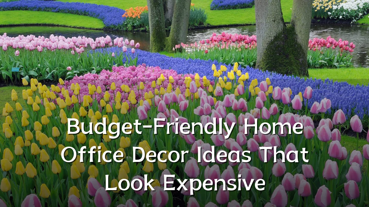 Budget-Friendly Home Office Decor Ideas That Look Expensive