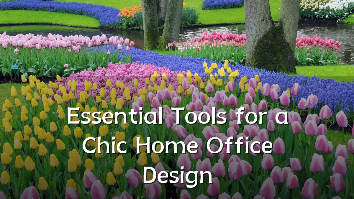 Essential Tools for a Chic Home Office Design