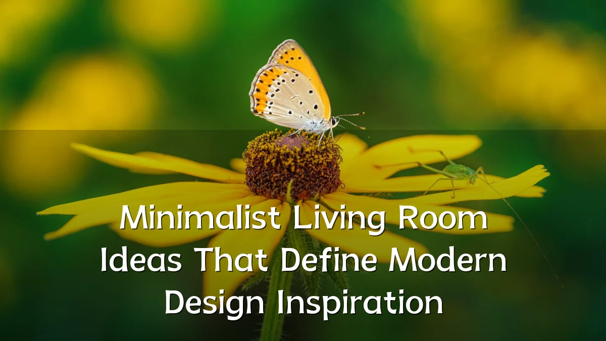 Minimalist Living Room Ideas That Define Modern Design Inspiration