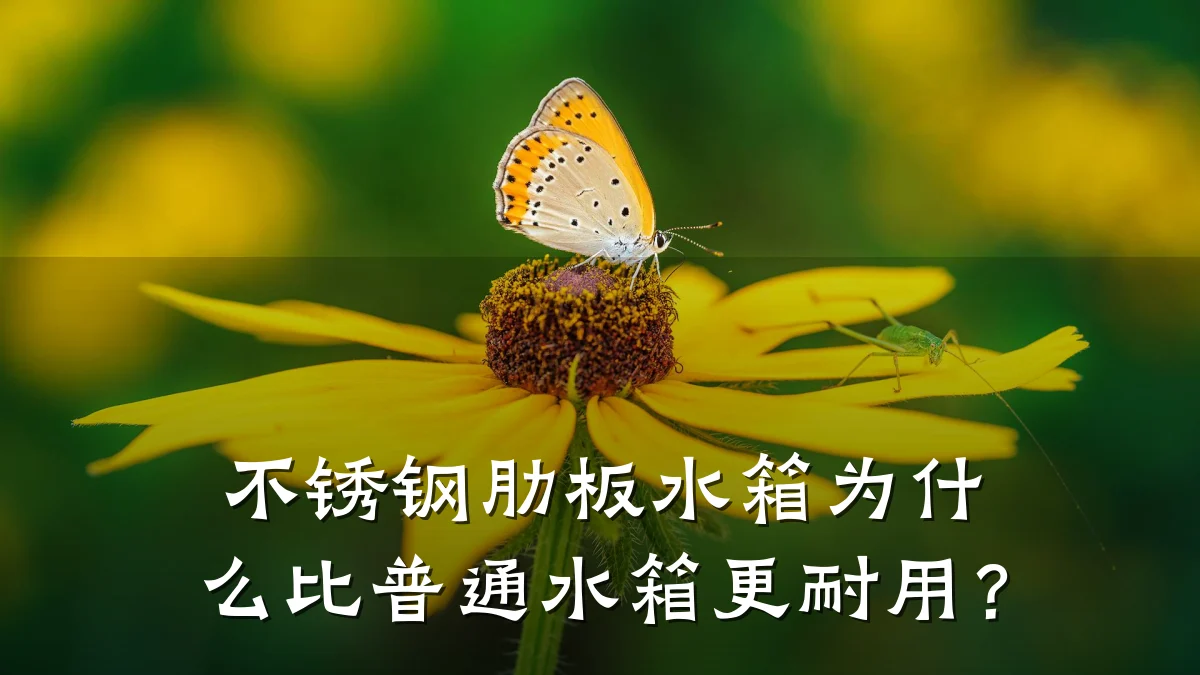 不锈钢肋板水箱为什么比普通水箱更耐用?